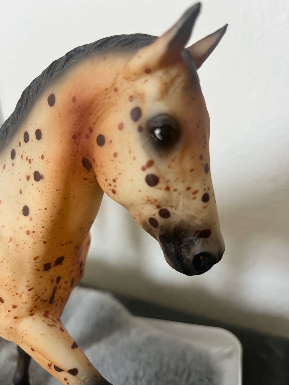 Breyer Pay-N-Go Appaloosa Sport Horse